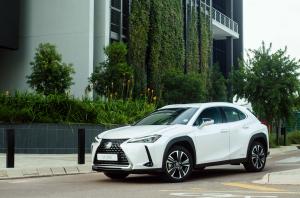 Lexus UX250h 2019 года  (ZA)